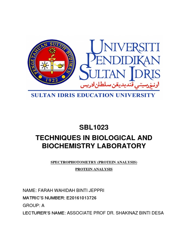 Lab Report 3 Protein PDF Spectrophotometry Absorbance