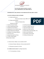 FORMATO INFORME FINAL DSI Co