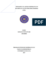 LP Acute Myeloid Leukimia