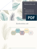 Kelp 6 Escherichia Coli