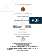 CN Report PDF