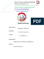AMBPORTAFOLIO (1).docx