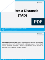 ManualUsuario TrámitesA Distancia - NIC.pdf