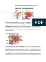 Artikel Biologi Sistem Reproduksi Pada Manusia