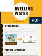 Travelling Water: Aimar - Kevin - Icha - Via