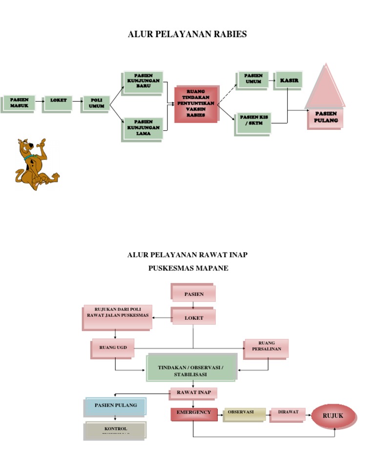 Alur Pelayanan Vaksin Rabies | PDF