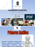 Primeros Auxilios 2017