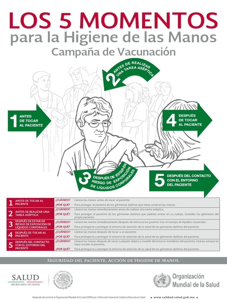 5 Momentos para la Higiene de Manos | PDF