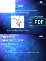 Animal Behavior Stimulus Energy