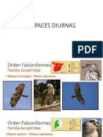 Rapaces Diurnas y Nocturnas PDF