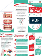 bucal.pdf