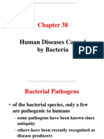 38 - Lecture Part 1