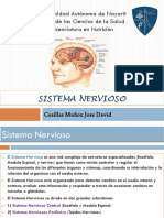 Presentacion Sistema Nervioso Morfofisiologia