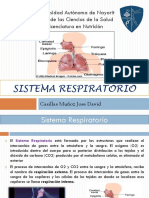 Presentacion Sistema Respiratorio Morfofisiologia