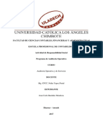 Actividad de RS- Programa de Auditoría II Unidad