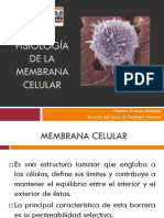 CLASE 2 - FISIO Membrana_Celular