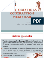 Clase 3 - Fisio Musculo