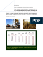 CIMENTACION DE PUENTES - PILOTES.docx