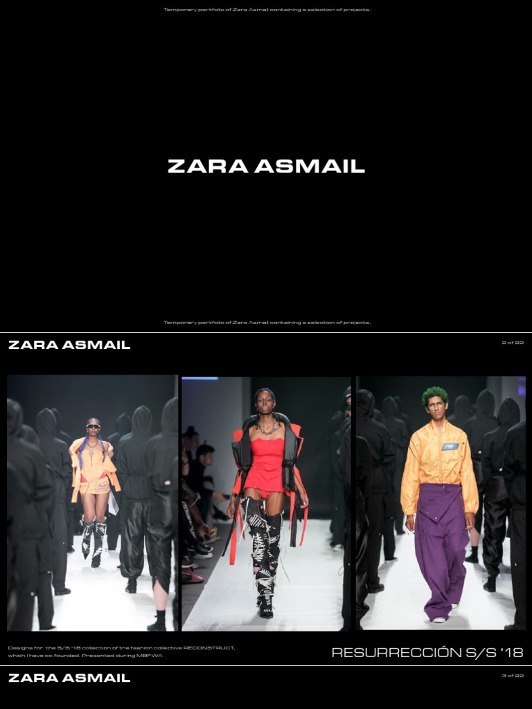 Zara Asmail Portfolio | PDF | Emergence | Neuroscience