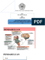 Mati Batang Otak Dan Herniasi Otak