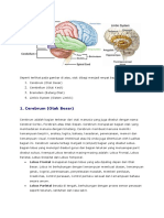 Cerebrum (Otak Besar) : Lobus Frontal Merupakan Bagian Lobus Yang Ada Dipaling Depan Dari Otak