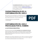 Contaminacion Del Suelo