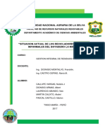 Informe_ Recicladores.docx