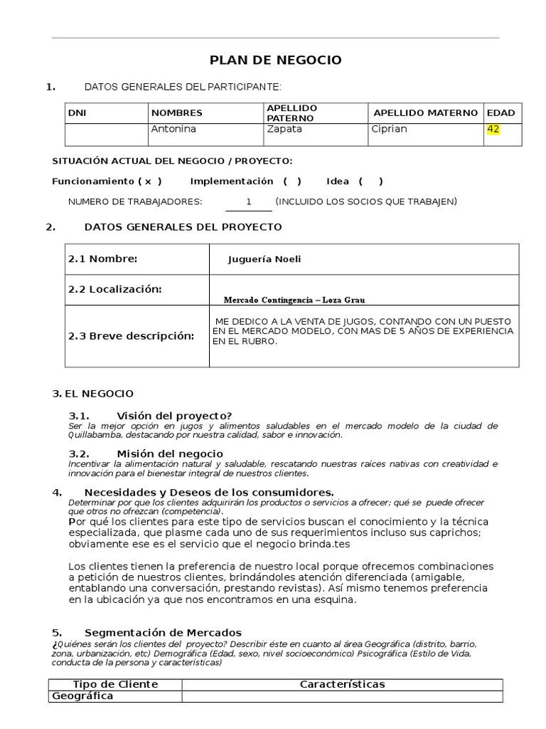 Formato Del Plan Negocios  Distribución (comercial)  Mercado