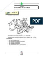 MISOSA 4 Rehiyon XII-SOCCSKSARGEN PDF