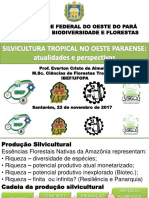 2017.11.22 Silvicultura Tropical Oeste Do Pará Everton