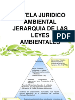 4.- Jerarquia de Las Leyes Ambientales Tutela Jurídico Ambiental.ppt