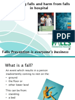 NSW Falls Prog Hosp Present Prevent Falls and Harm From Falls in Hosp July 2013