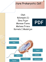 Struktur Sel Prokariotik