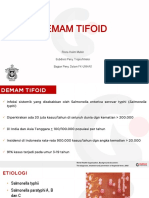 Typhoid Slide Presentasi PDF