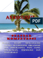 Anabolism e