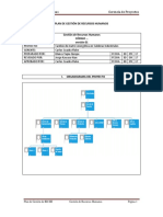 PL 08 Plan Gestion de RRHH