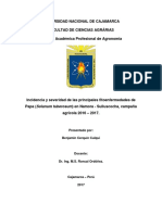 Incidencia y Severidad de Las Principales Fitoenfermedades de Los Cultivos en El Distrito de Namora