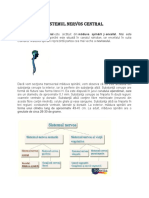 Referat SNC SNP