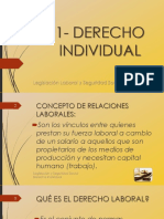 Bolilla 01 - Derecho Individual