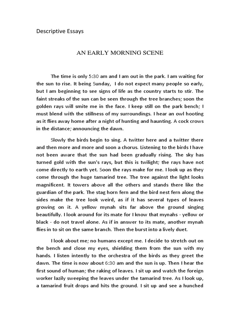 an early morning scene essay