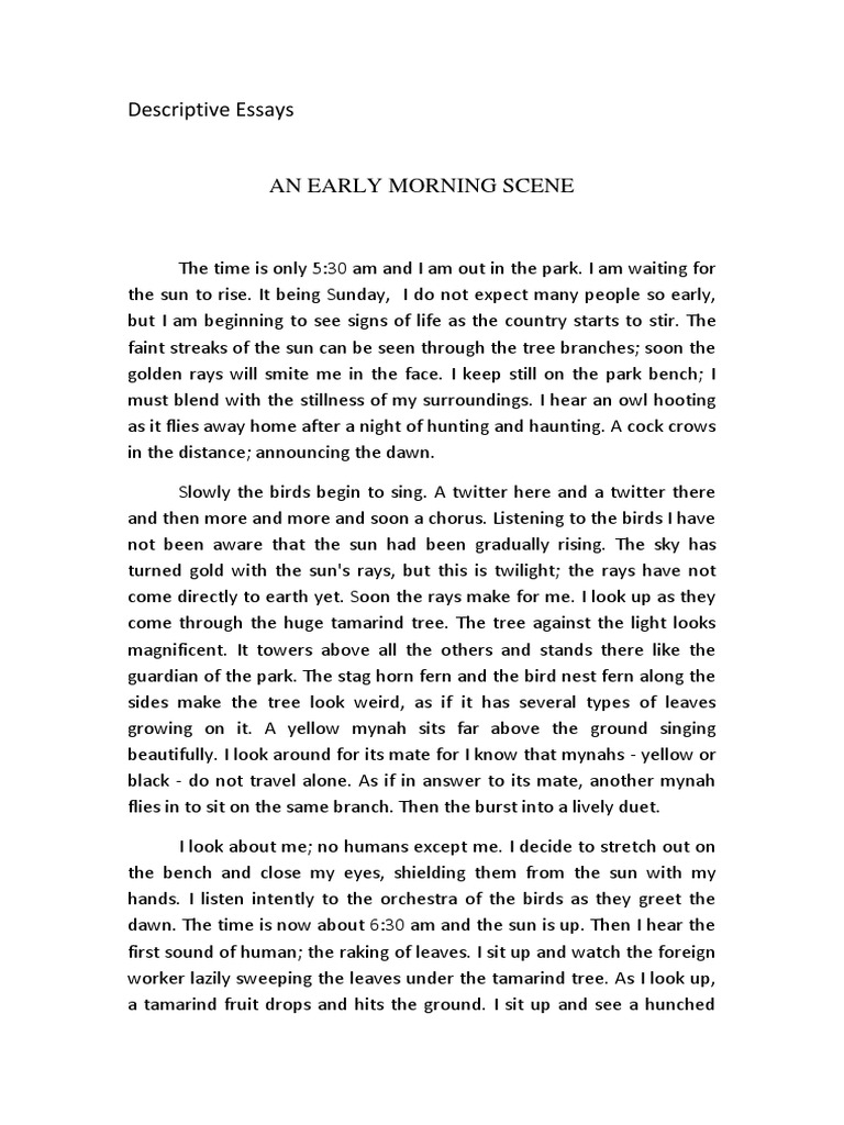 descriptive essay on beautiful morning