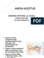 Organon Auditus