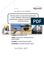 MONOGRAFIA PATOLOGIAS DE OBRAS.pdf