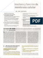 Cap 4 Estructura y Función Celular PDF