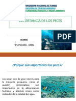 Importancia de Los Peces