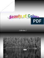 163791415-The-Beauty-of-Colours.pps