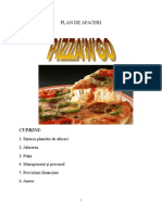 202577626-Plan-de-Afaceri-pizza.doc