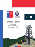 Guia Petroleo Gas PDF