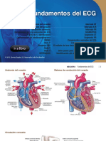 FUNDAMENTOS DE L ECG - SECCION 1 - HUSZAR.pdf