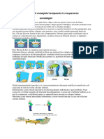 Aplicarea Masajului Terapeutic in Recuperarea Lombalgiei